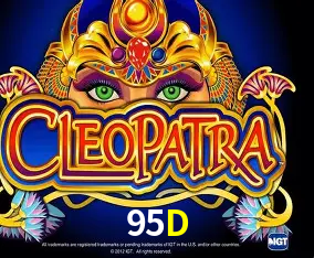 95D Com